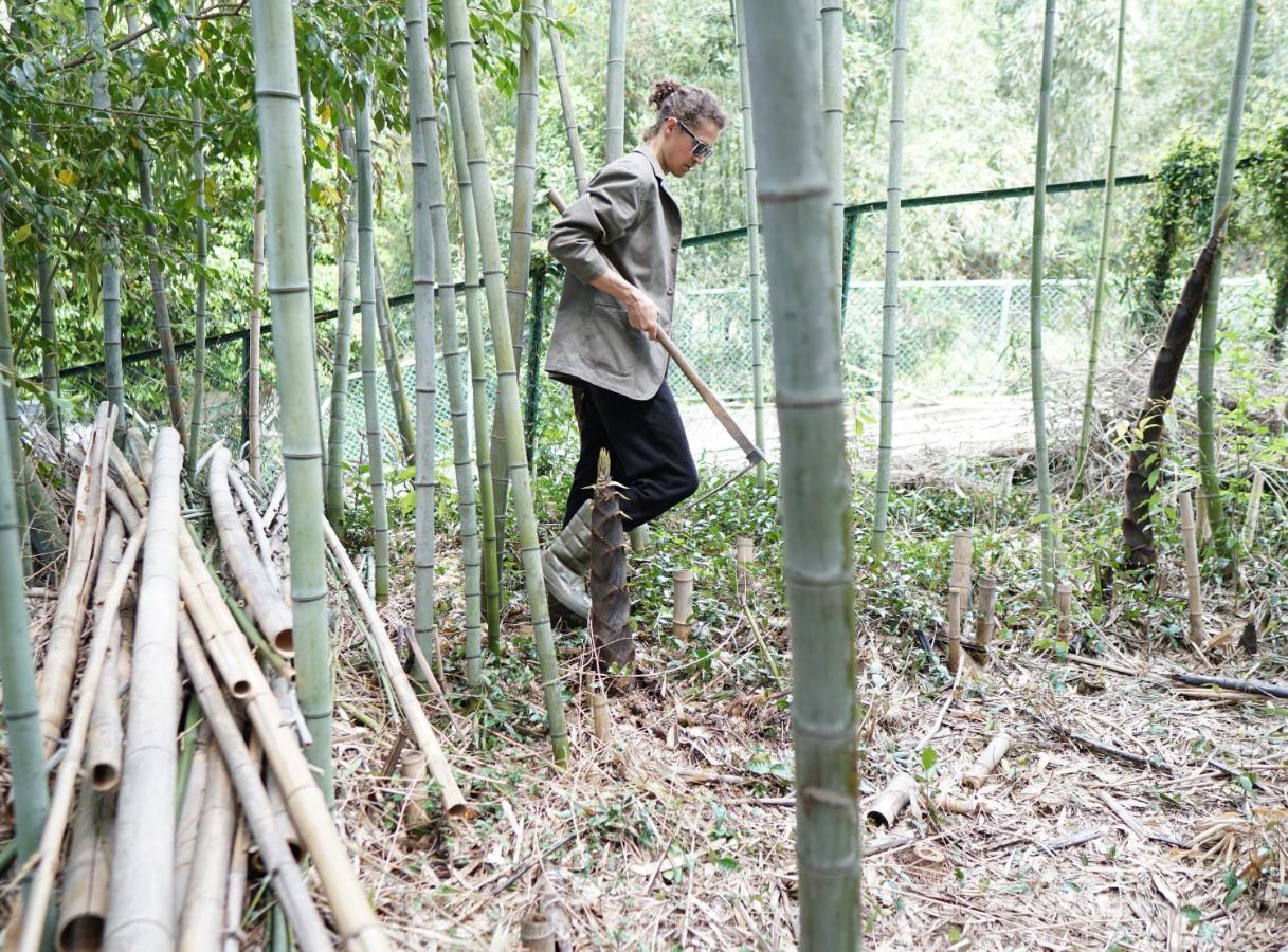 Niwamori_Org นารา ภายนอก รูปภาพ